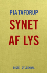 synet_af_lys.jpeg